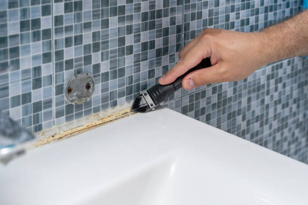 Best Professional Mold Removal  in Cleveland, TN