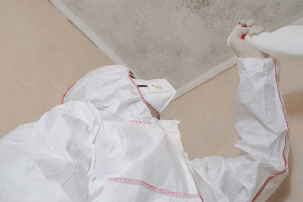 Best Mold Remediation Experts  in Cleveland, TN