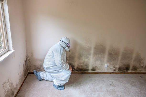 Water Damage Restoration in Cleveland, TN